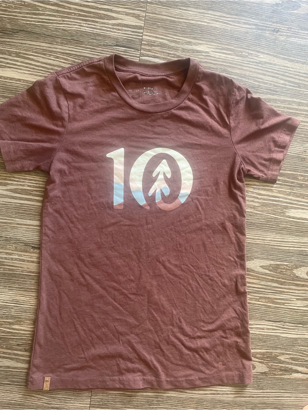 Womens Short Sleeve Tentree Tee with '10' Graphic - Maroon